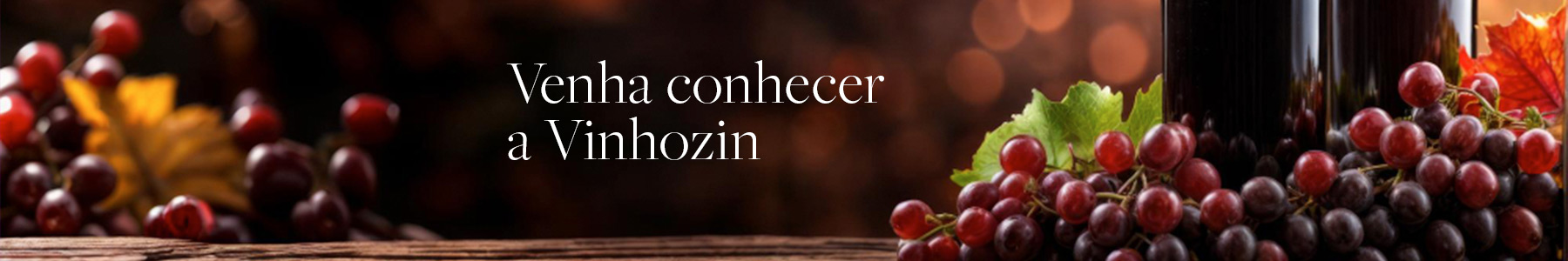 Conheça a Vinhozin